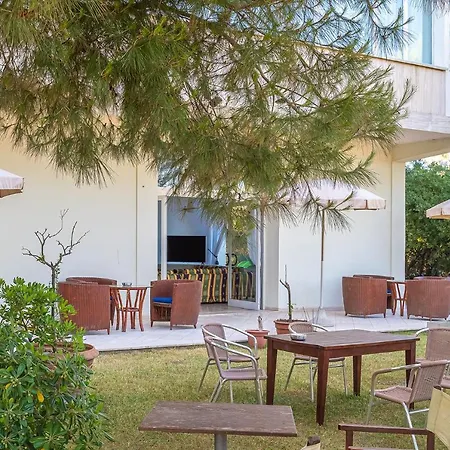 Hotel City Hotel 3*